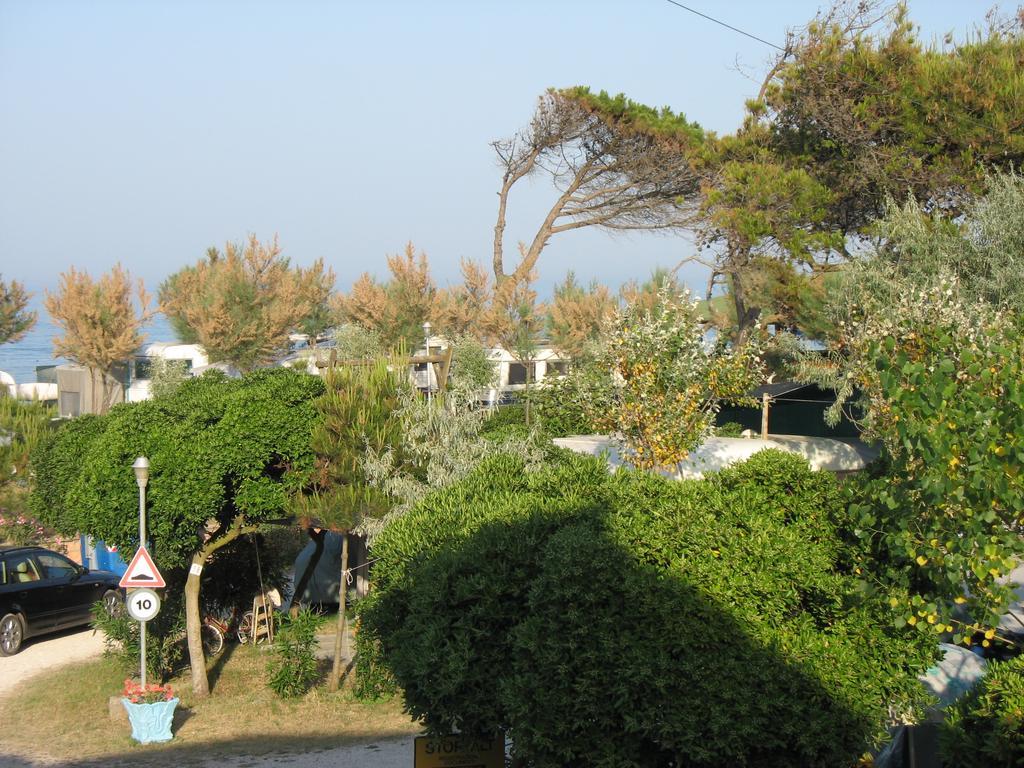 Campsite Camping La Pineta Porto Recanati